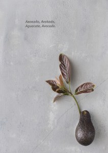 FOTOS NATALIE A5 FINAL-12