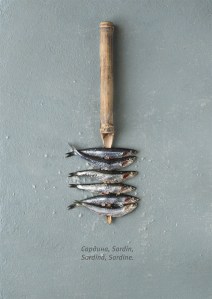 FOTOS NATALIE A5 FINAL-2