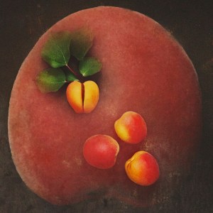 Processed with VSCOcam with h2 preset