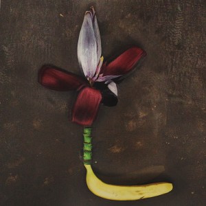 Processed with VSCOcam with h2 preset