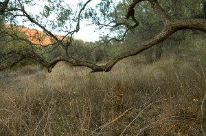 Valley of despair, 2