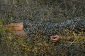 Valley of despair, 4