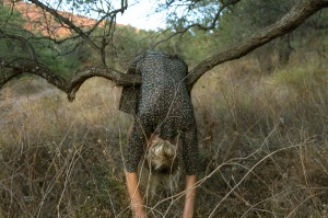 Valley of despair, 5